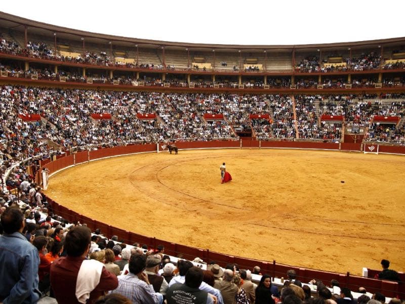 La Feria de la Salud encara su recta final con un fin de semana de máximas figuras y jóvenes talentos